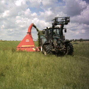 01072021471006175574-10658983